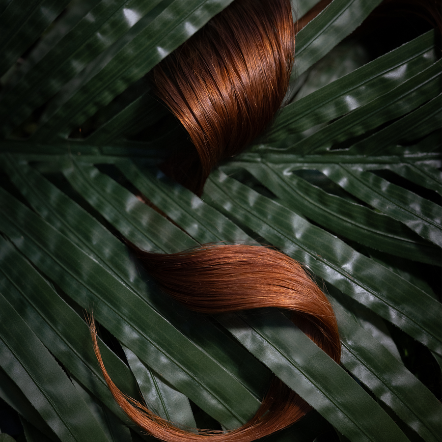 3 Month Reset System - Women 18–45