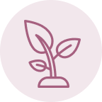 Medical-Grade Formula